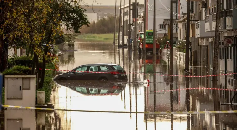Proença-a-Nova contabiliza já 20 milhões de euros de prejuízos